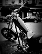 Harley Davidson