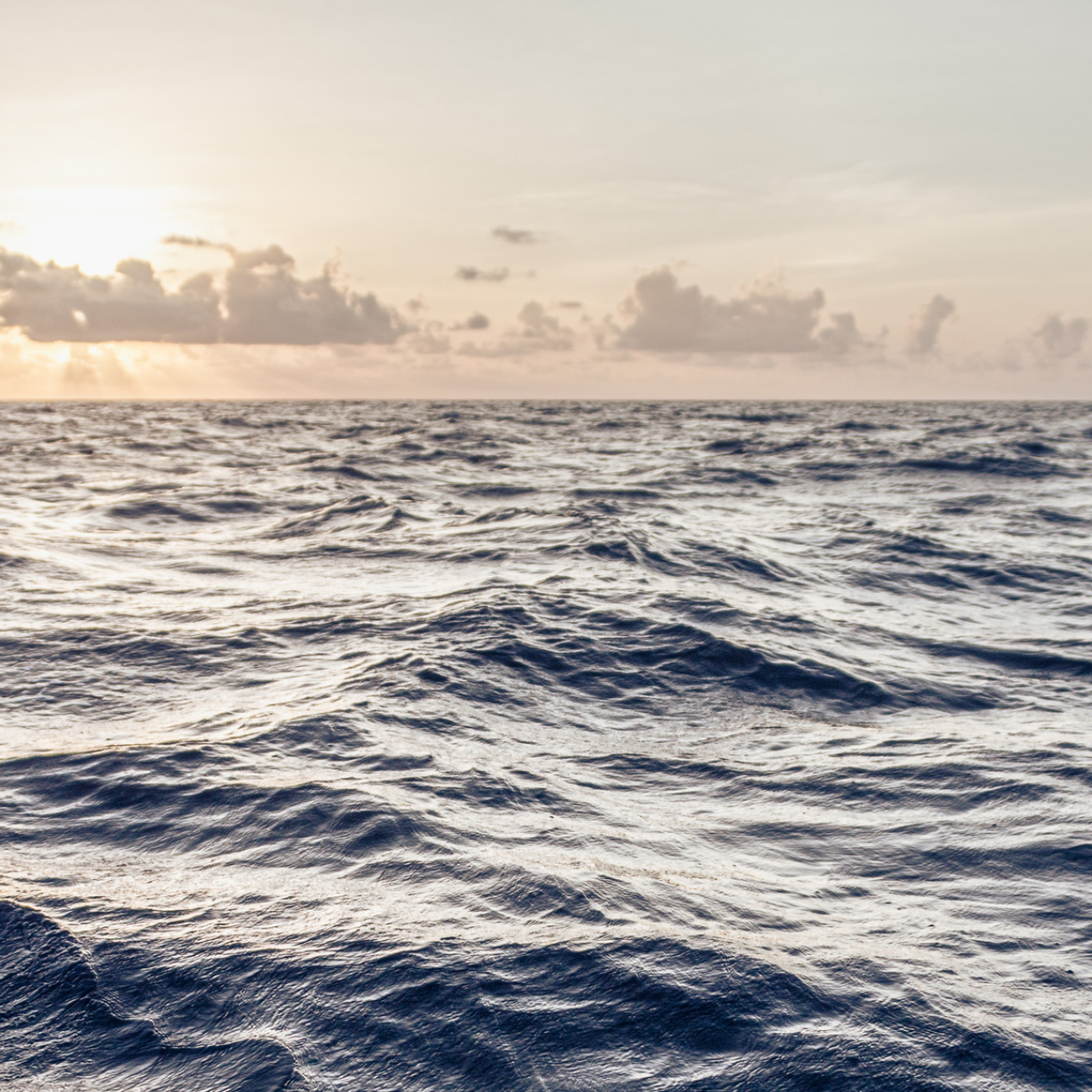 Caribbean Sunrise