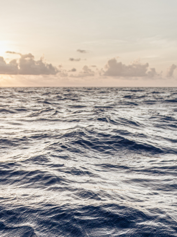 Caribbean Sunrise