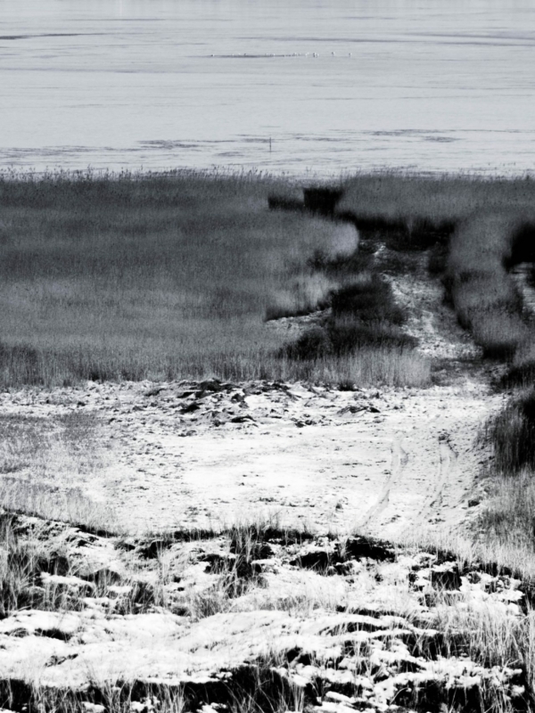 Winter Dunes