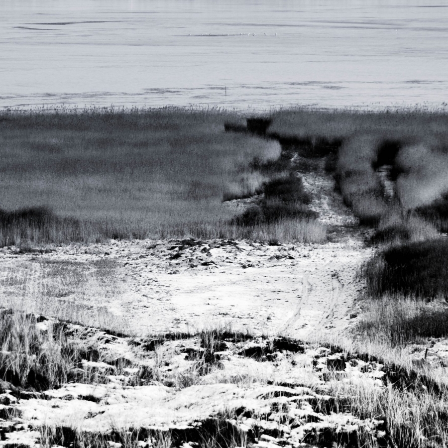 Winter Dunes