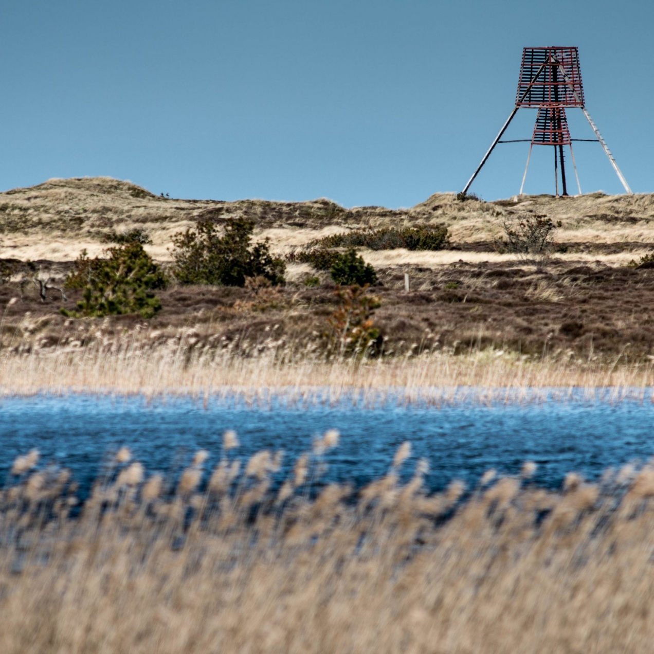 Vigsø Strand