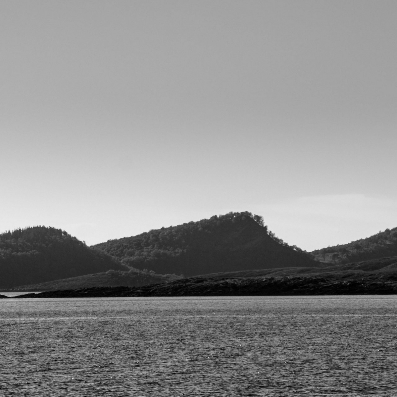 Waves ashore