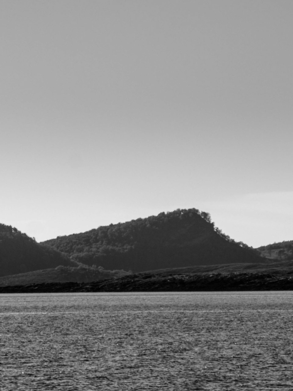 Waves ashore