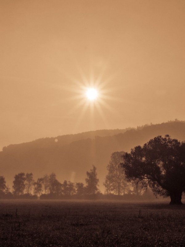 Summer Sunset