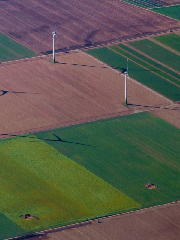 Shadows and Wind