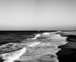 Black and White North Sea