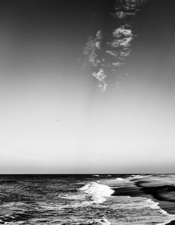 Black and White North Sea