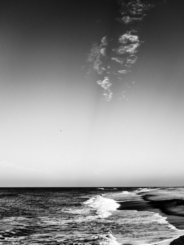 Black and White North Sea