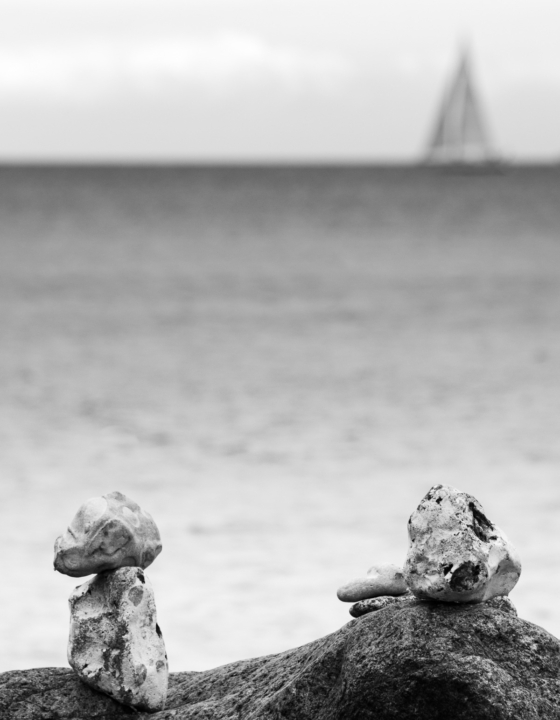 Well balanced Forces