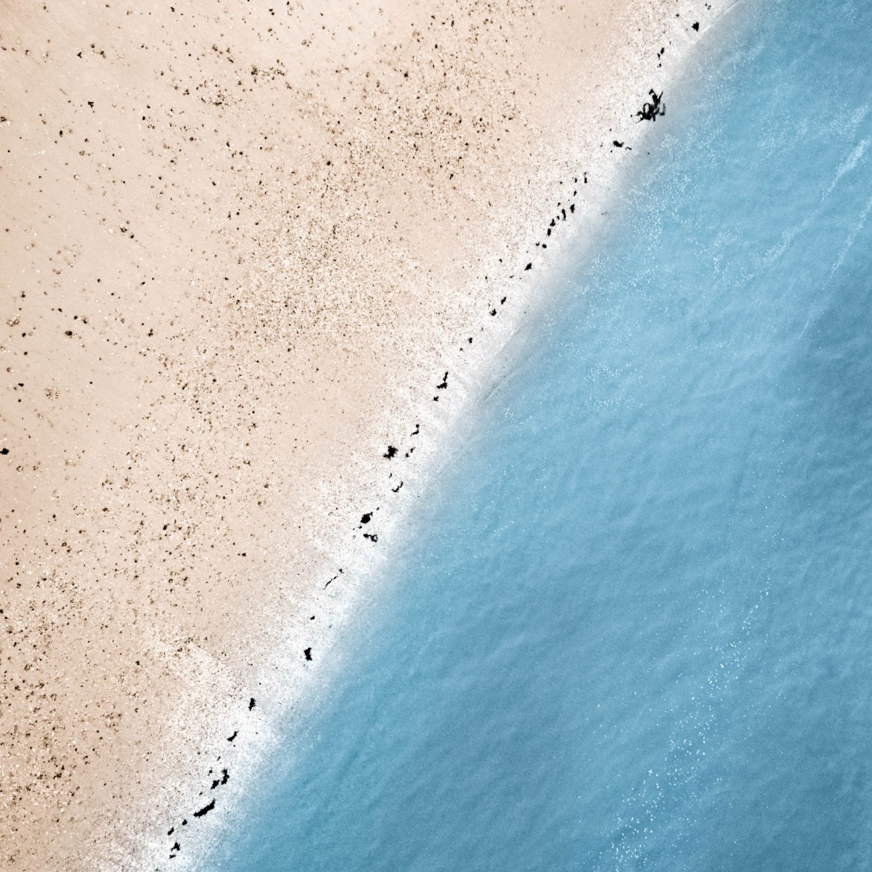 Beach Contrast