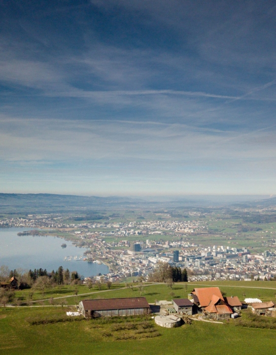 Overlooking Zug