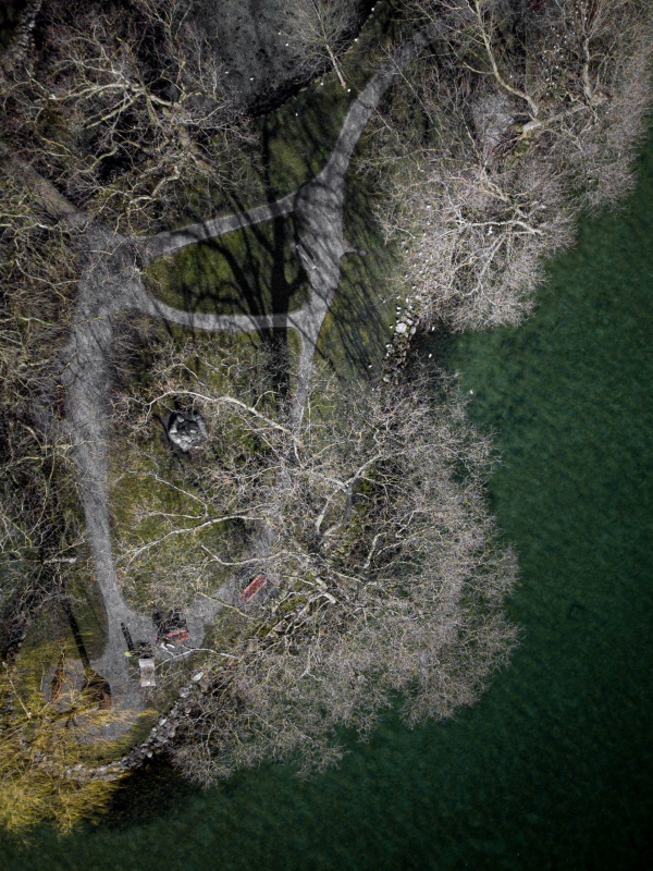 Shadow Tree