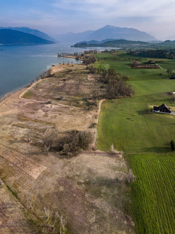 Lakeshore