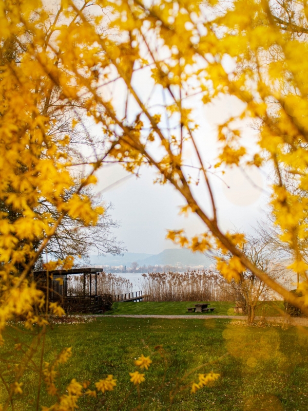 Yellow Spring