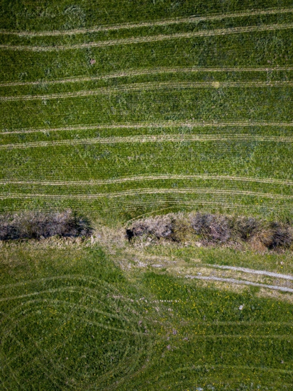 Grass Roads