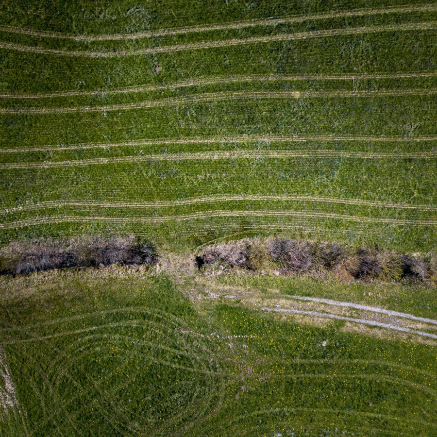 Grass Roads