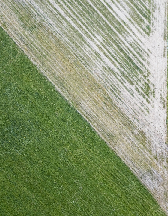 Self Portrait in the Fields