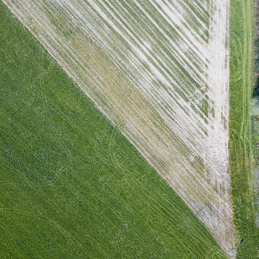 Self Portrait in the Fields