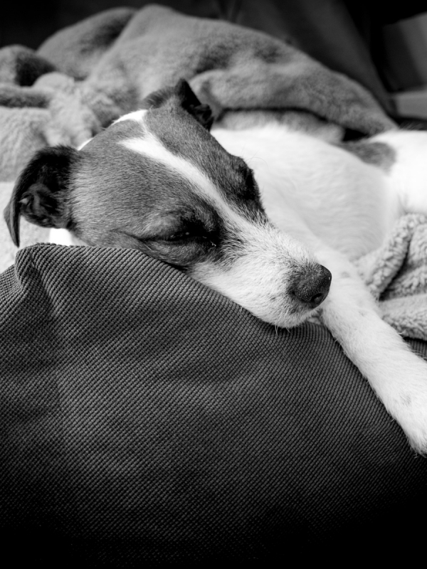 Lazy Weekend