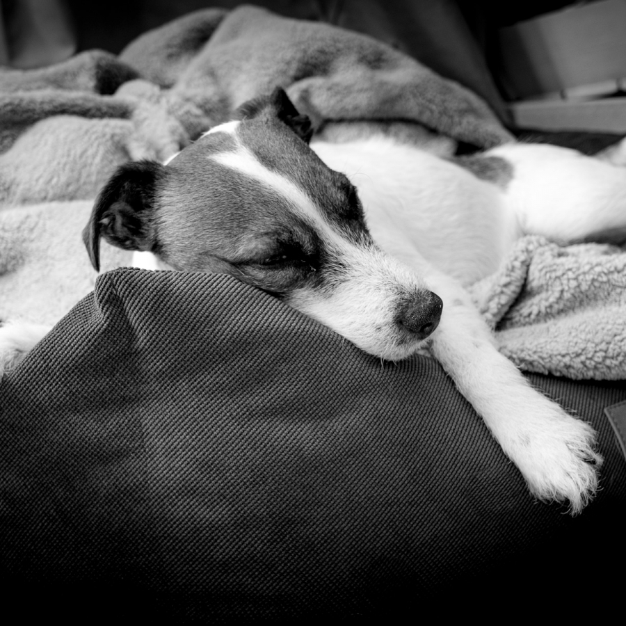 Lazy Weekend
