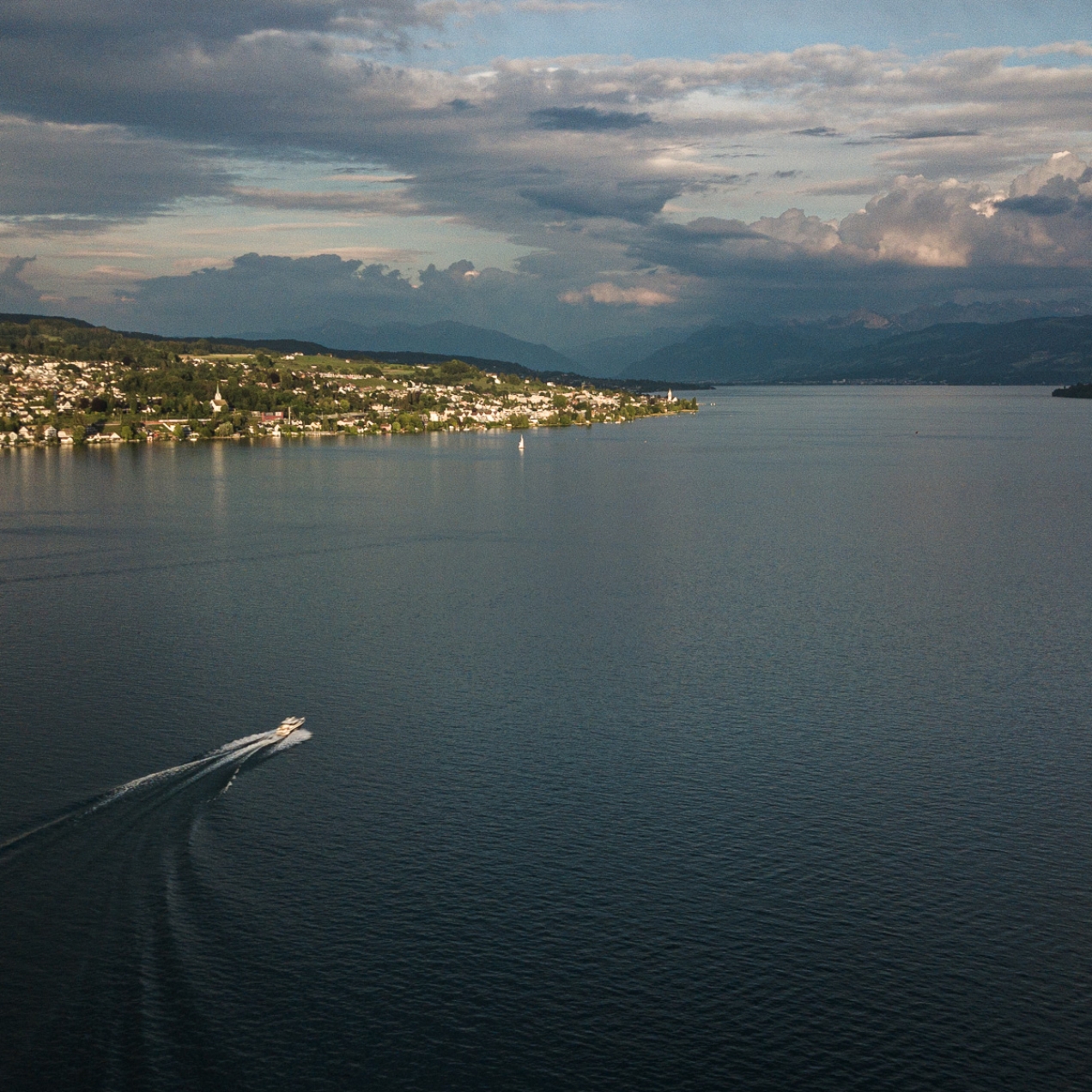 Lake Zurich View