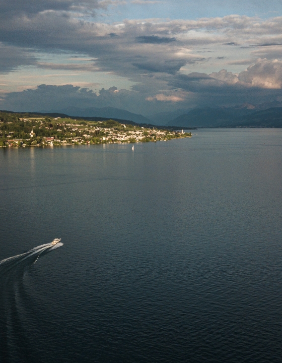 Lake Zurich View