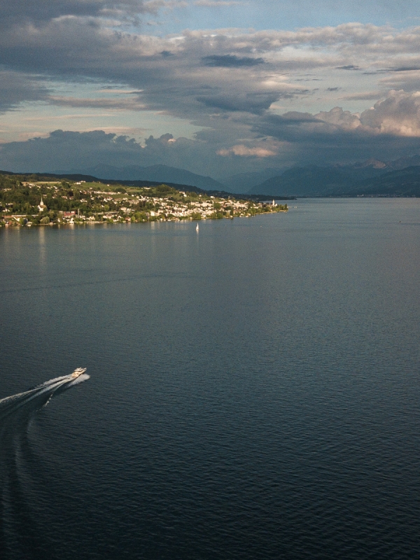 Lake Zurich View