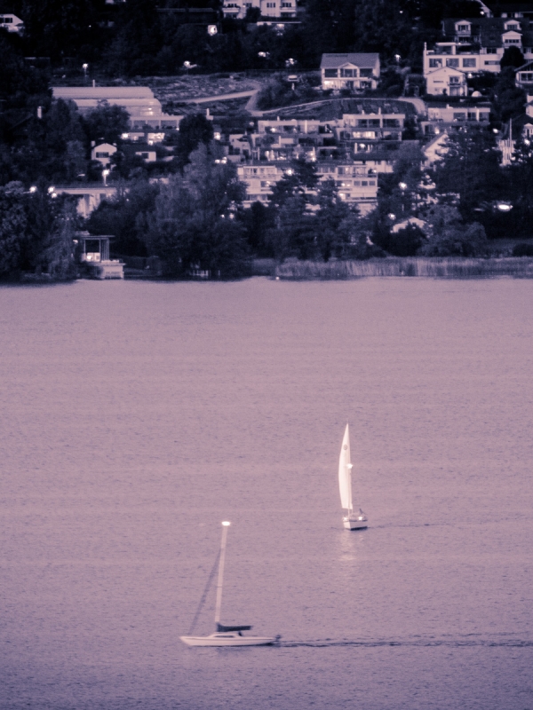 Last Ships Out