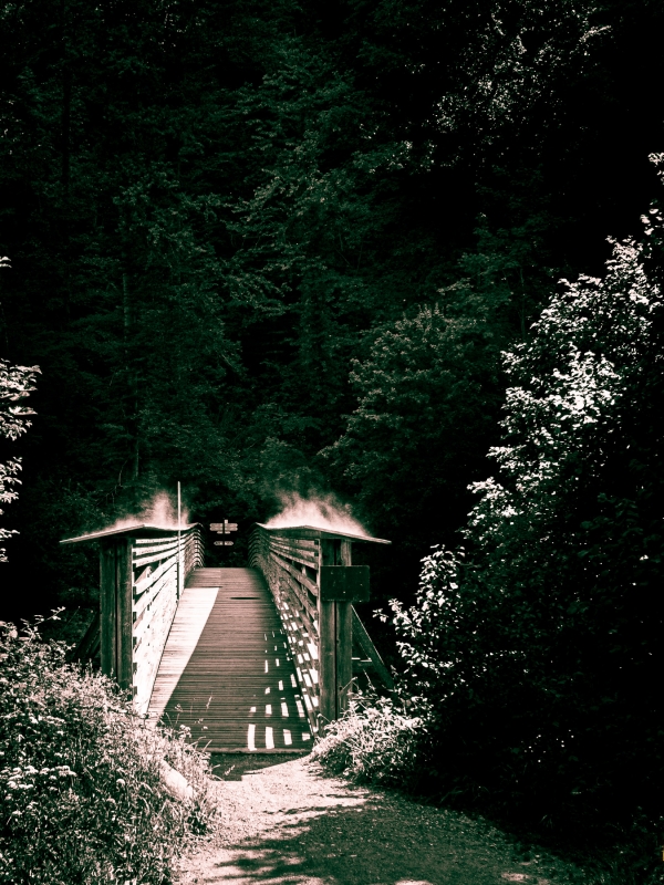 The Bridge