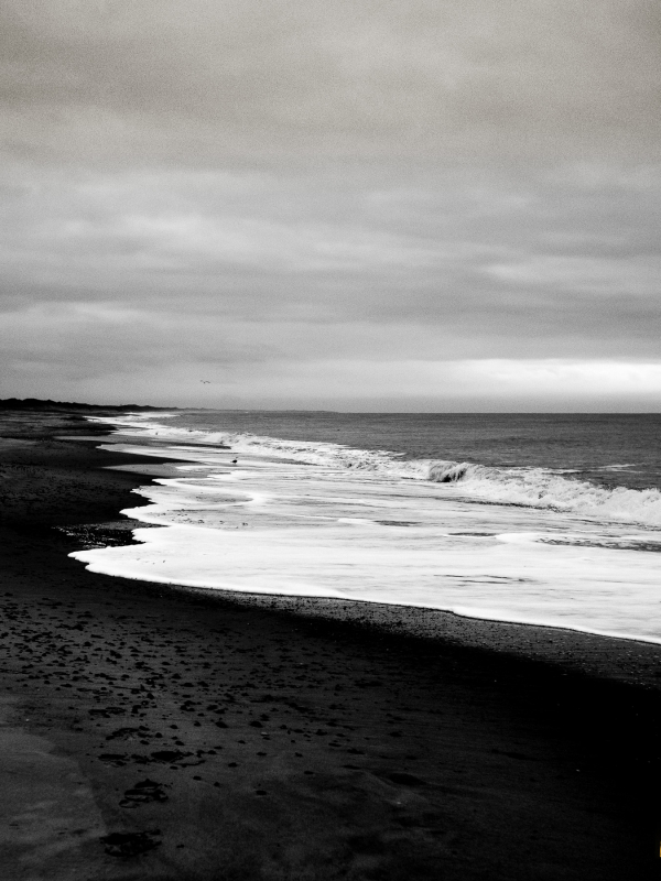 Shoreline Black and White