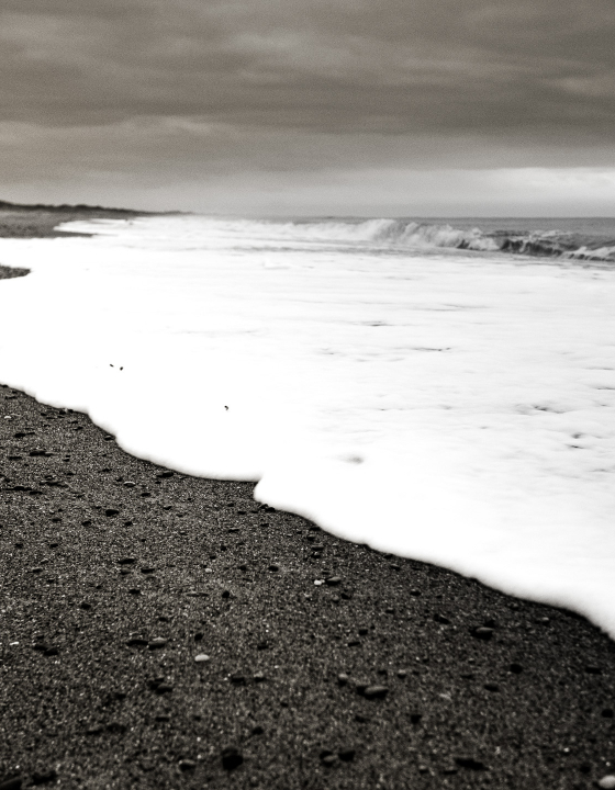 Shoreline Black and White
