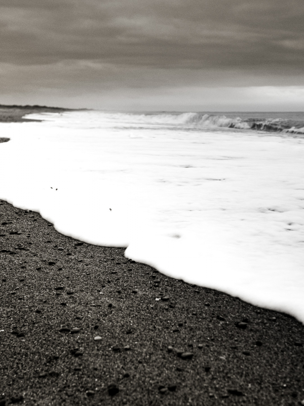 Shoreline Black and White