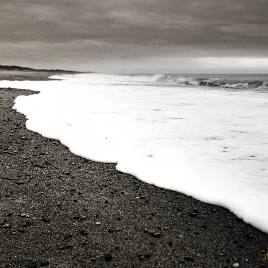 Shoreline Black and White