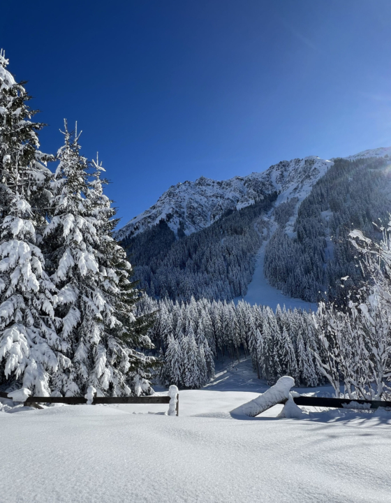 Inspiration Landscape