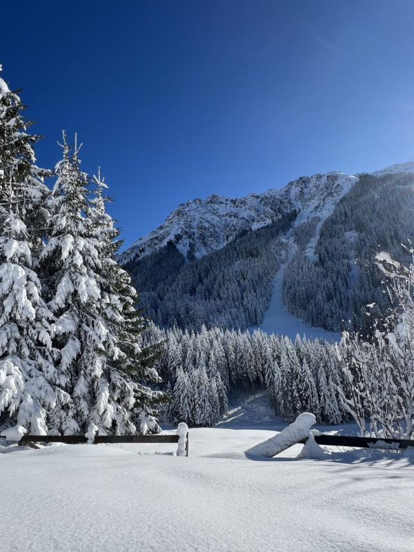 Inspiration Landscape